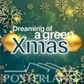Green Xmas, sostenibile e gree
