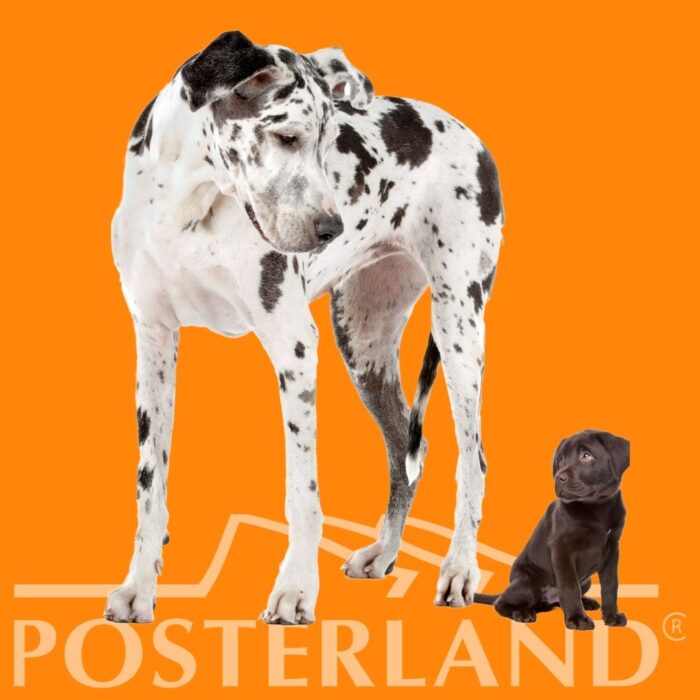 Posterland Maxi stampa digitale